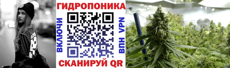 Шишки марихуана сатива  Купить где  Киселёвск 